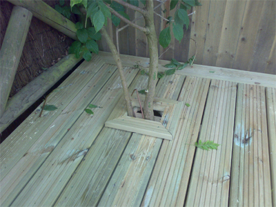 decking_plant_portal.jpg