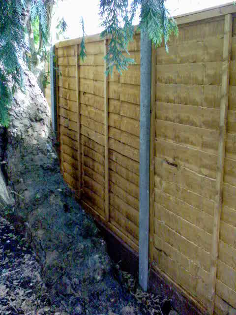 fence